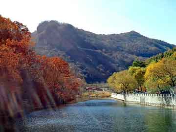 管家婆黑白马报图库，午夜赛场